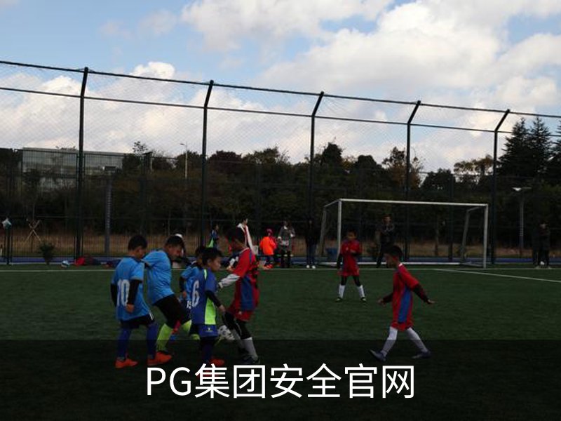 PG集团安全官网概况